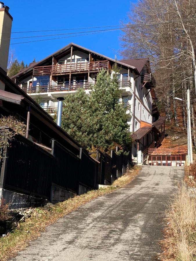 Ski View Studio - Near The Ski Slopes Azuga Exteriör bild